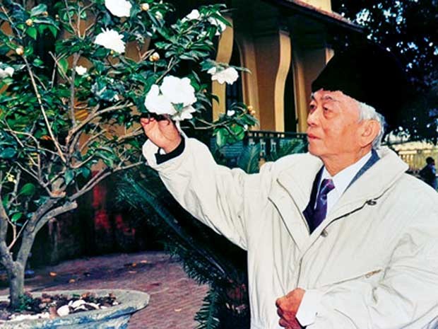 Hoa bạch trà trước sân nhà riêng 30 Hoàng Diệu của Đại tướng, loài hoa ông ưa thích. Ảnh: Trần Tuấn (TTXVN)